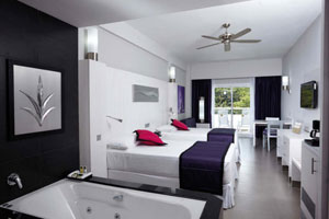 junior_suite_garden_view