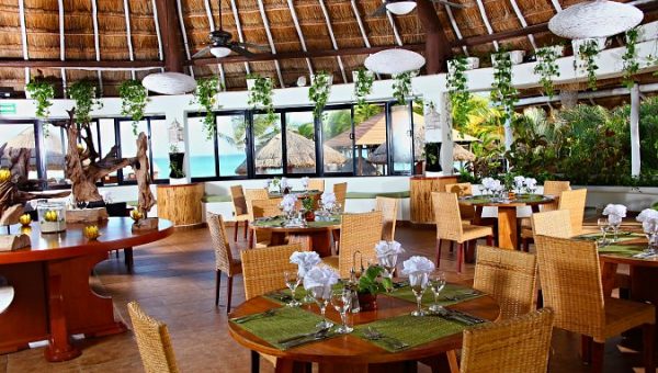 sandos-caracol-salvia Salvia – Vegan Restaurant